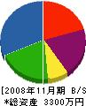 泰栄技研 貸借対照表 2008年11月期