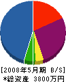 山崎電機 貸借対照表 2008年5月期