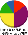 大懸電機商会 貸借対照表 2011年12月期 大懸電機商会 貸借対照表 2011年12月期