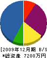 佐々木電工舎 貸借対照表 2009年12月期
