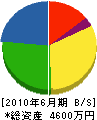 玉井工務店 貸借対照表 2010年6月期