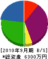 シノ 貸借対照表 2010年9月期