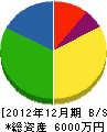 堀江ガス・デンキ 貸借対照表 2012年12月期