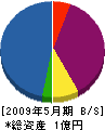 松浦電工 貸借対照表 2009年5月期