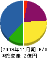 村石組 貸借対照表 2009年11月期