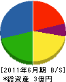 浜松ヒートテック 貸借対照表 2011年6月期