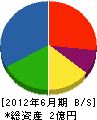 新井電気工事 貸借対照表 2012年6月期