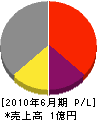 塚田電気工業所 損益計算書 2010年6月期