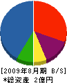 藤田建設 貸借対照表 2009年8月期