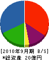 榊原建設 貸借対照表 2010年9月期