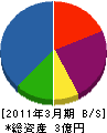 飯沼電気 貸借対照表 2011年3月期