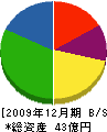 大垣ガス 貸借対照表 2009年12月期