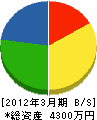 東京ウオール工事 貸借対照表 2012年3月期