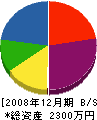 戸塚産業 貸借対照表 2008年12月期
