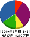 田中組 貸借対照表 2009年6月期