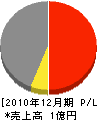 上野建築 損益計算書 2010年12月期