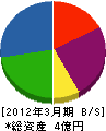 小島綜合建設 貸借対照表 2012年3月期