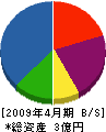 田中ゴム産業 貸借対照表 2009年4月期