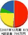 田中電気工事店 貸借対照表 2007年12月期