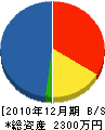 大川水道工業所 貸借対照表 2010年12月期