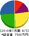 田中組 貸借対照表 2010年7月期