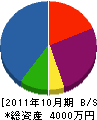 杉山電気 貸借対照表 2011年10月期