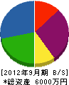 坂井住設 貸借対照表 2012年9月期