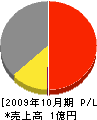 佐藤工業 損益計算書 2009年10月期