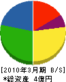 千葉興産 貸借対照表 2010年3月期