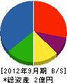 湊川建設 貸借対照表 2012年9月期
