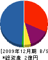 田島緑化工事 貸借対照表 2009年12月期