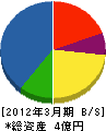 長崎組 貸借対照表 2012年3月期