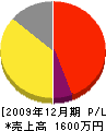斉藤工業 損益計算書 2009年12月期
