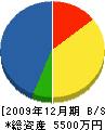 伊藤商店 貸借対照表 2009年12月期
