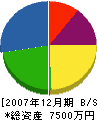 吉川不動産 貸借対照表 2007年12月期