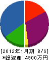 松沢産業 貸借対照表 2012年1月期
