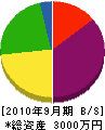 相羽組 貸借対照表 2010年9月期