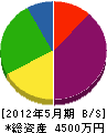 永田建設 貸借対照表 2012年5月期