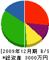 大滝組 貸借対照表 2009年12月期