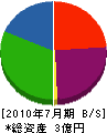 ヤマカ 貸借対照表 2010年7月期