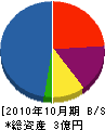 嶺南建設 貸借対照表 2010年10月期