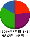 ヤマカ 貸借対照表 2009年7月期
