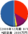 高橋守塗装店 貸借対照表 2009年12月期