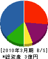 松澤組 貸借対照表 2010年3月期