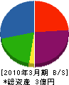 渡辺工務店 貸借対照表 2010年3月期