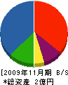 柳川工業 貸借対照表 2009年11月期