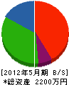 大塚電設 貸借対照表 2012年5月期