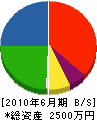 千代田電気商会 貸借対照表 2010年6月期