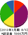 丸恵岡本設備工業 貸借対照表 2012年3月期
