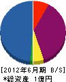 牟田塗装工業 貸借対照表 2012年6月期